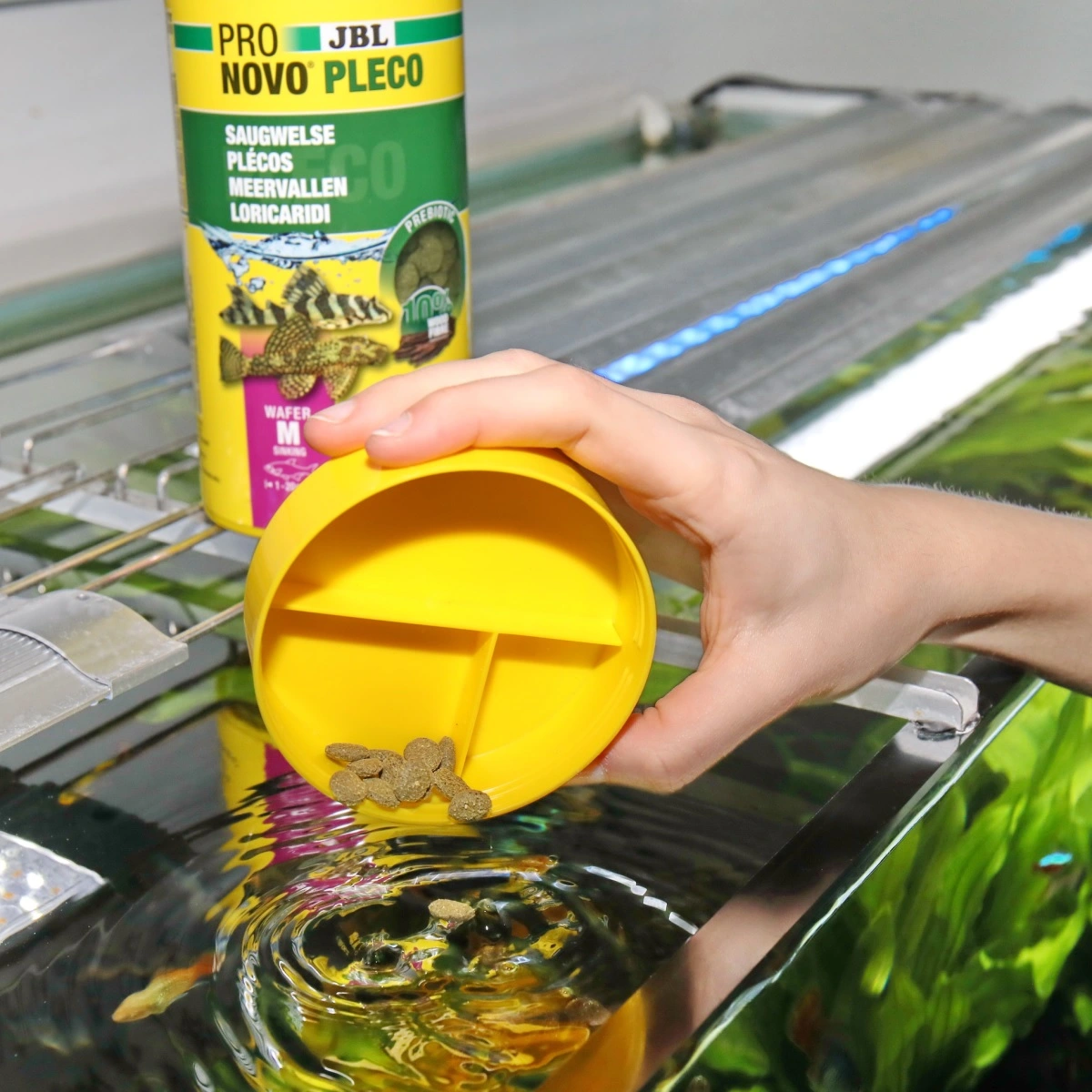 JBL Pronovo Pleco Wafer M 250 ml